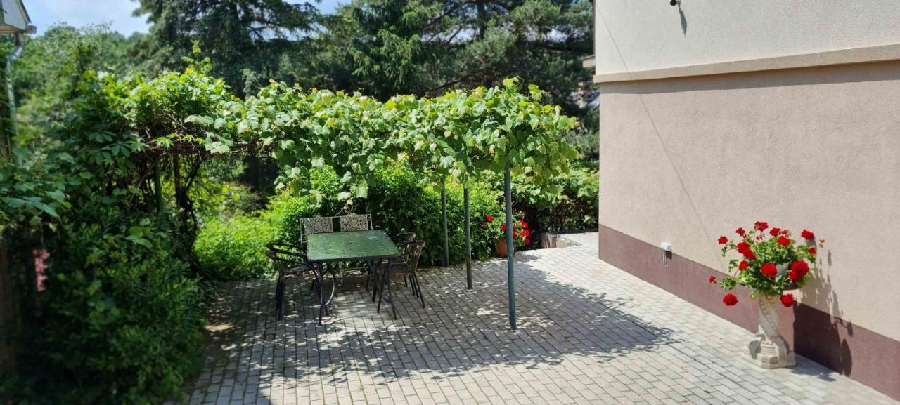 Lugas Apartman Miskolctapolca 2 Haloszoba Dezsa Es Jakuzzi Koezel A Barlangfuerdohoez Экстерьер фото