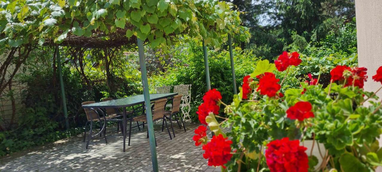 Lugas Apartman Miskolctapolca 2 Haloszoba Dezsa Es Jakuzzi Koezel A Barlangfuerdohoez Экстерьер фото